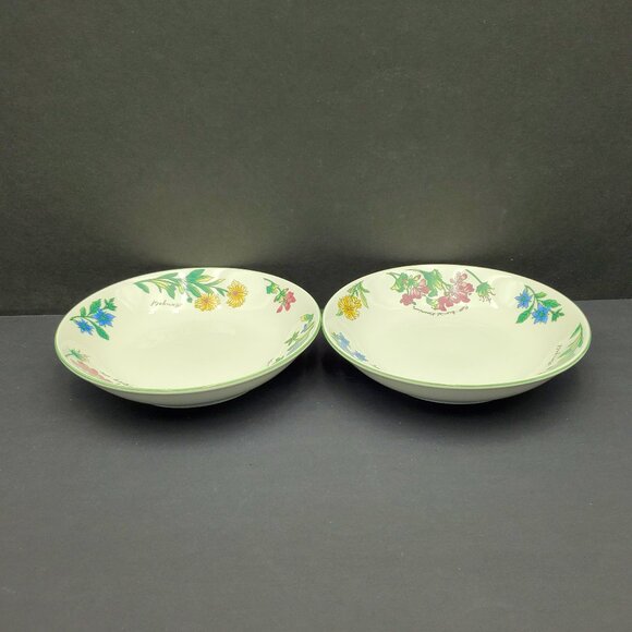 Oneida Geranium Soup Cereal Bowls Oneida Majesticware Small Floral Serving Bowls - Picture 4 of 7